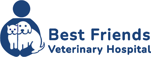 Best Friends Veterinary Hospital